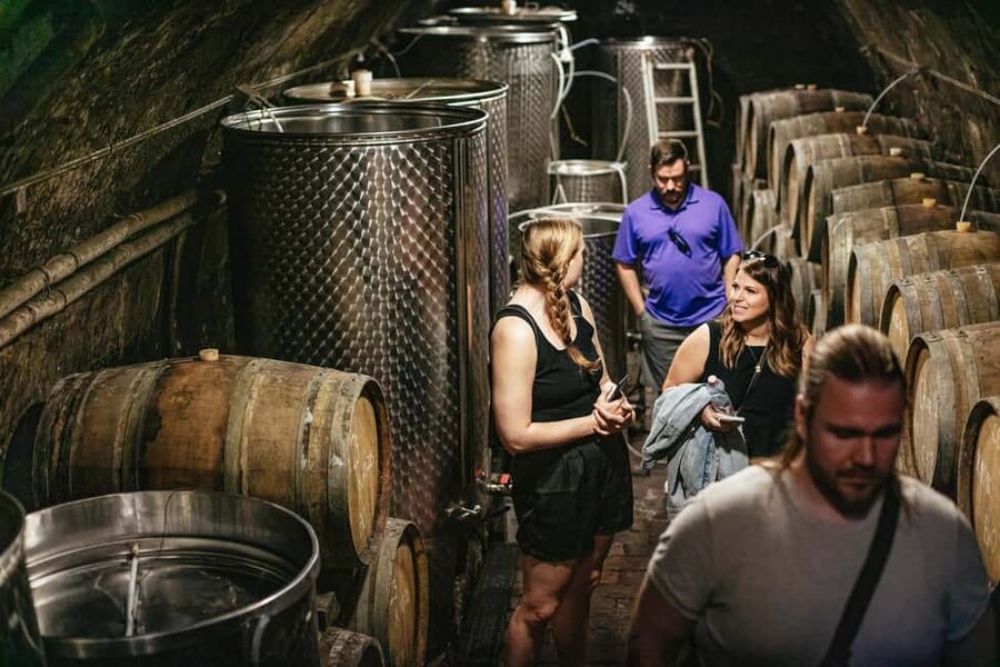 From Budapest: Etyek Wine Tasting Tour with 3-Course Meal - Who This Etyek Tour Fits Best (and Who Might Want a Different Plan)