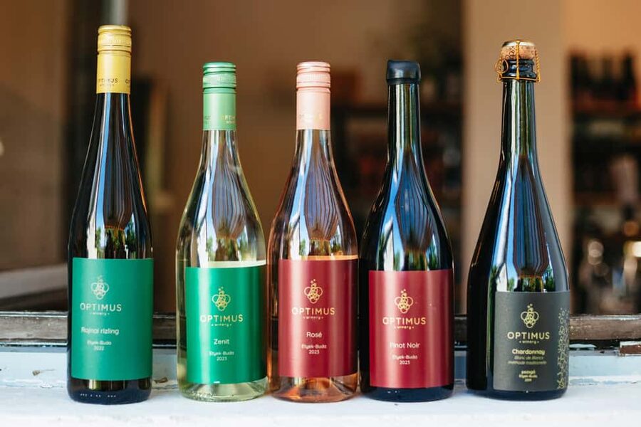 From Budapest: Etyek Wine Tasting Tour with 3-Course Meal - The 3-Course Home-Cooked Meal: Classic Hungarian Food