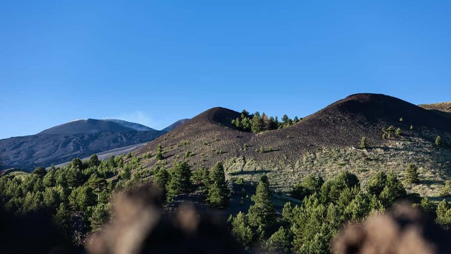 From Catania: trek on Mount Etna, Lava Cave & tasting Tour - The Tasting on Volcanic Soil: Honey, Oils, and Etna Wine