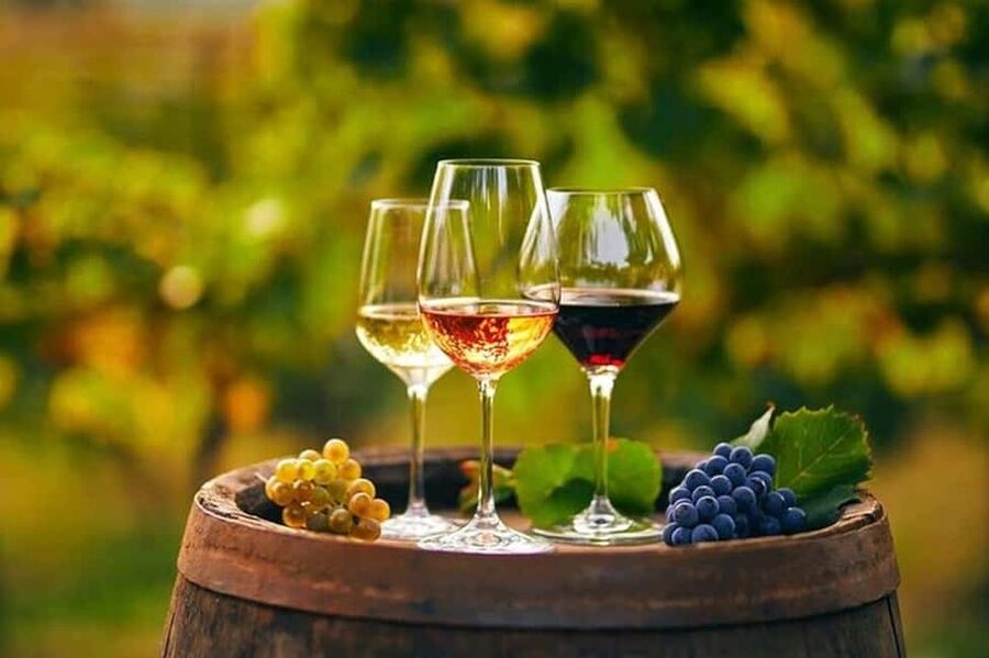 From Chania: Olive Oil, Wine, Cheese & Honey Tasting Tour - A Chania food tour built around Crete’s everyday staples