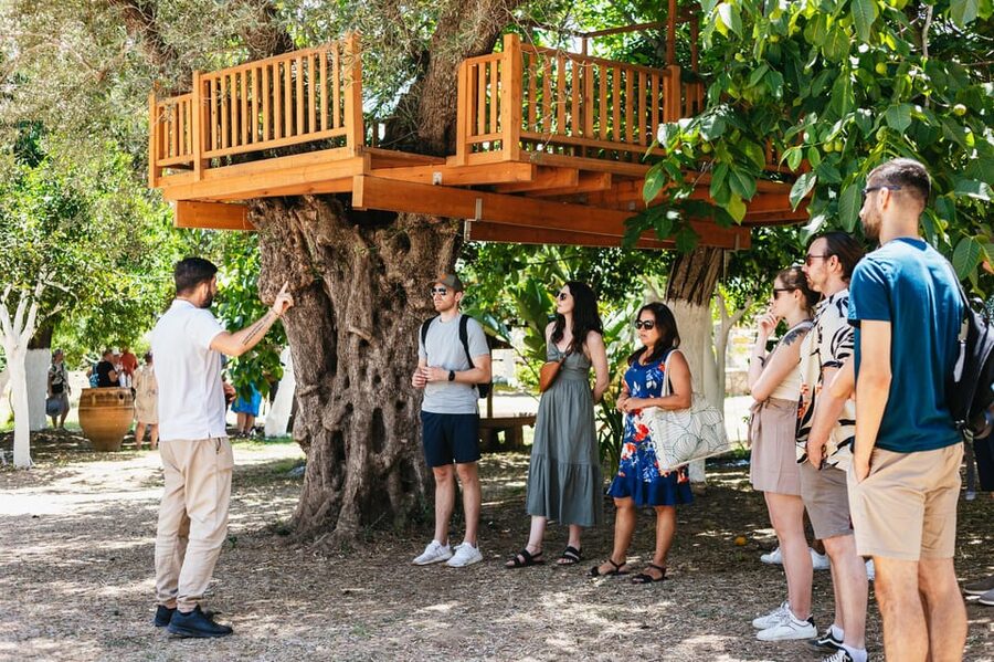 From Chania: Wine and Olive Oil Tasting Tour with Snacks - Between tastings: a traditional village stop and the feeling of Crete beyond wineries