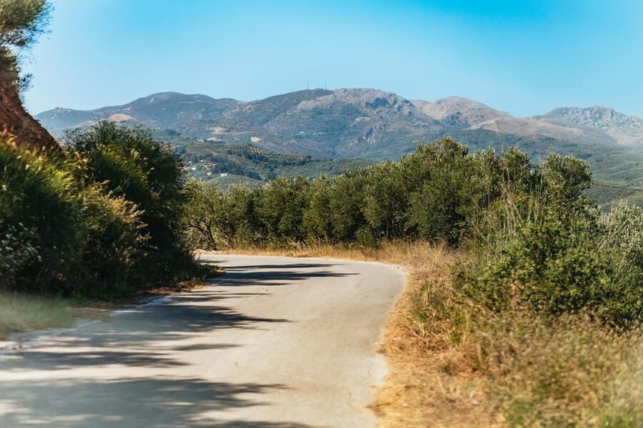 From Chania: Wine and Olive Oil Tasting Tour with Snacks - Price and value: what $141 buys you (and what it might not)