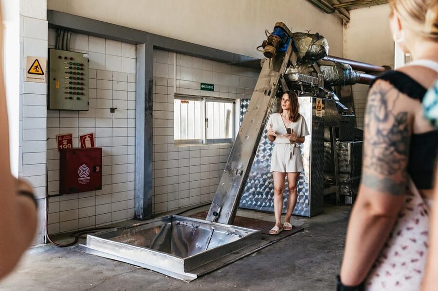 From Chania: Wine and Olive Oil Tasting Tour with Snacks - Who this tour suits best