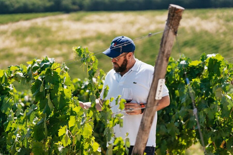 From Florence: Small Group Wine Tasting Tour to Tuscany - How the Tastings Work: Pairing That Teaches Your Tongue