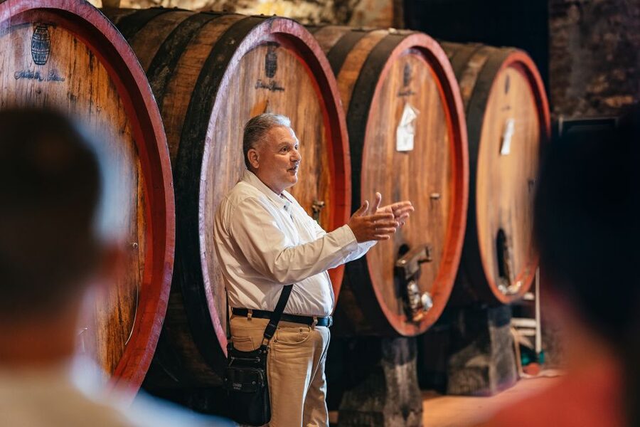 From Florence: Small Group Wine Tasting Tour to Tuscany - What You’ll Actually Take Home (Wine, Olive Oil, and a Better Sense of Quality)