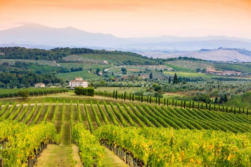 From Florence: Tuscany Wine & Food Tour with Guide - Winery Stop 2 hilltop estate: the wine expert moment and lunch pairing