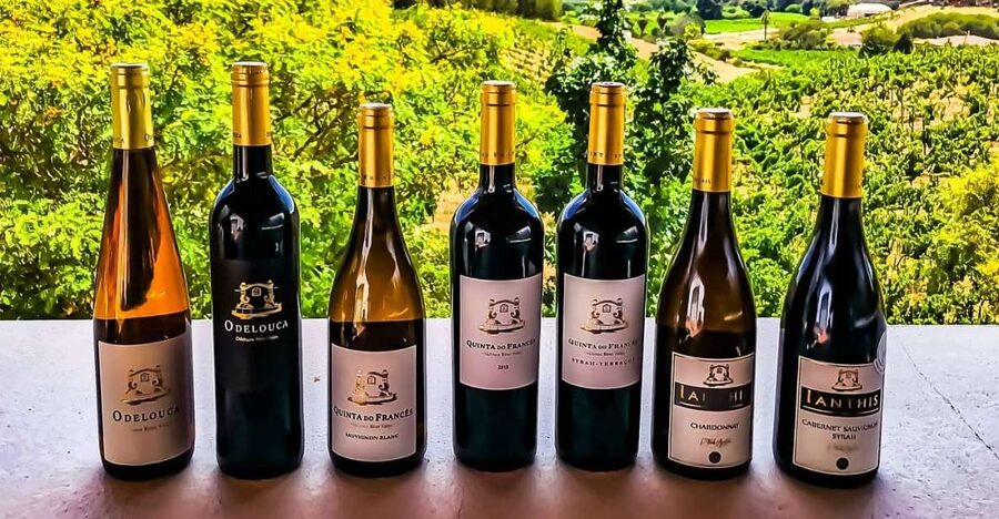 From Lagos: Small-Group 4-Hour Wine Tasting Tour - From Lagos to Silves: why the minivan start works