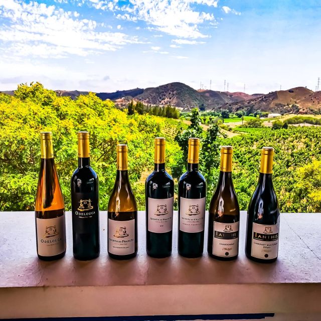 From Lagos: Small-Group 4-Hour Wine Tasting Tour - The winery visit (2.5 hours): production rooms and wooden barrels