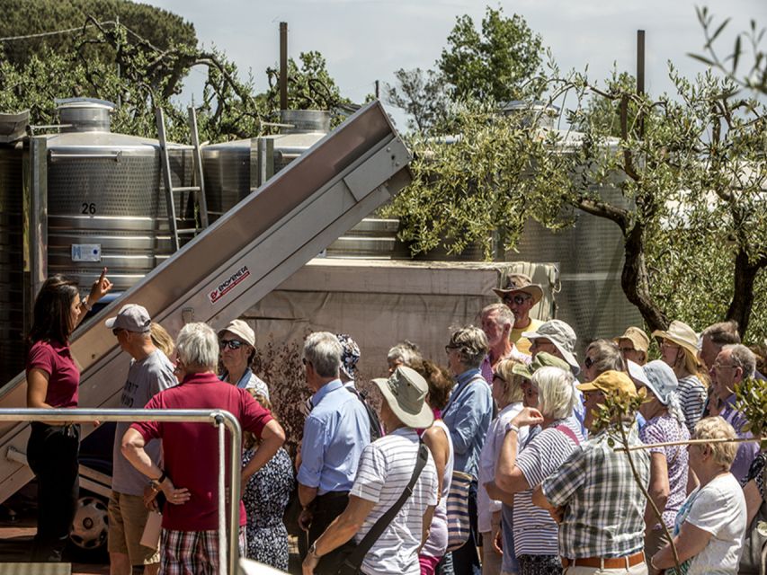 From Naples: Pompeii and Wine Tasting Tour with Lunch - Pompeii archaeological site: what you’ll see in 2 hours
