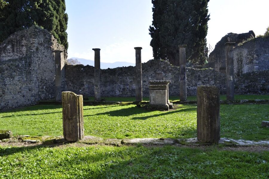 From Naples: Pompeii and Wine Tasting Tour with Lunch - Wine tasting and lunch: what to expect from the pairing