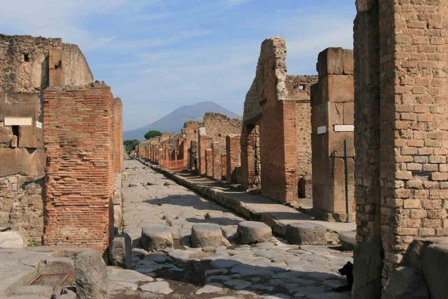 From Naples: Pompeii and Wine Tasting Tour with Lunch - Price and value: is $135.94 a smart deal?