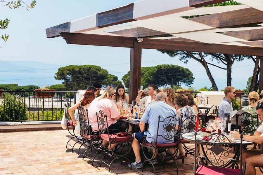 From Naples: Wine Tasting Tour on Vesuvius Slopes with Lunch - From Naples pickup to the Vesuvius winery drive