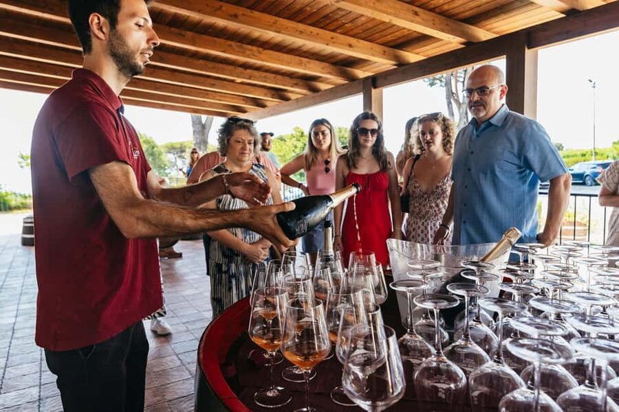 From Naples: Wine Tasting Tour on Vesuvius Slopes with Lunch - Vineyard time after lunch: photos, strolling, and shopping for bottles