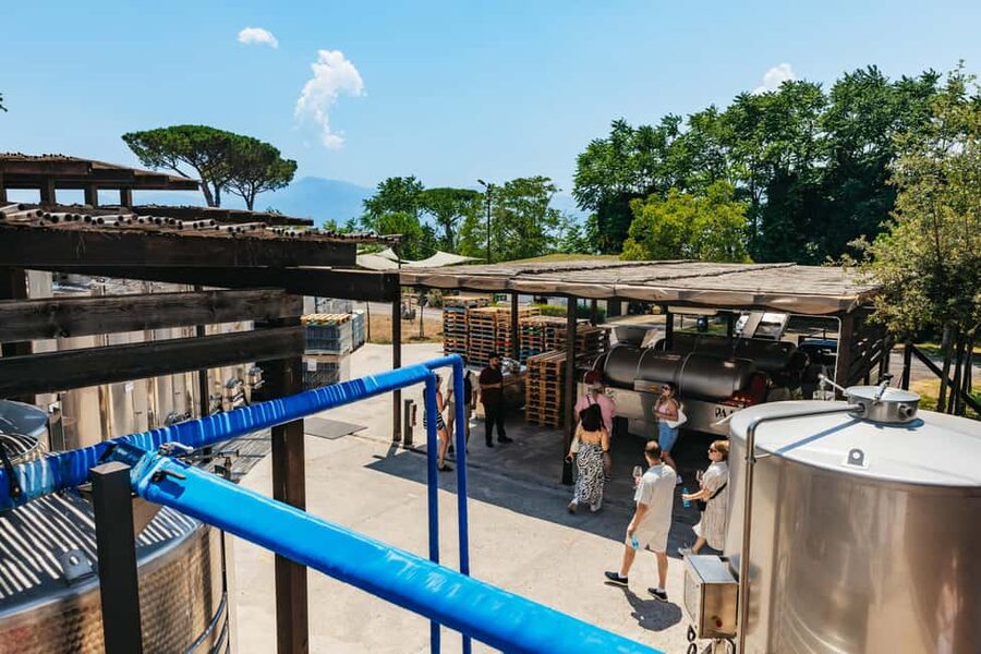 From Naples: Wine Tasting Tour on Vesuvius Slopes with Lunch - What the views add (and how to enjoy them more)