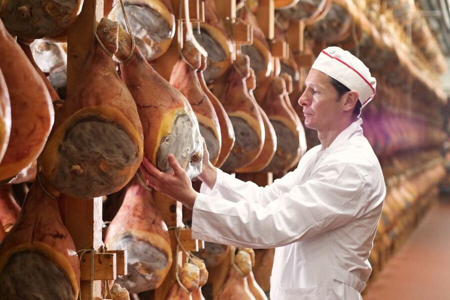 From Parma: Parmigiano and Parma Ham Guided Food Tour - Parma in 5 Hours: Why This Tour Works