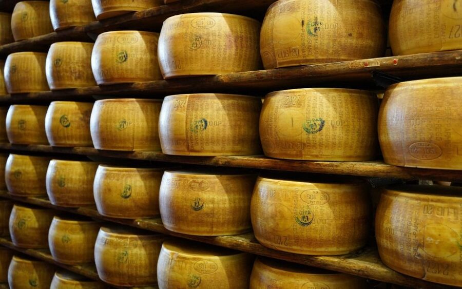 From Parma: Parmigiano and Parma Ham Guided Food Tour - From Whey to Wheel: Why the Early Steps Matter