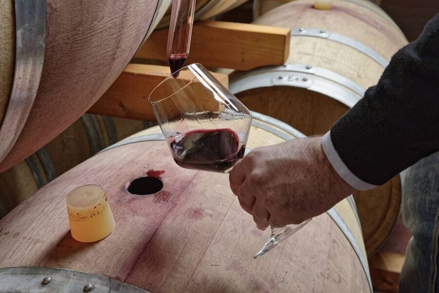 From Sorrento: Full-Day Pompeii & Wine Tasting Tour - Who Should Book This Pompeii and Wine Tasting Tour?