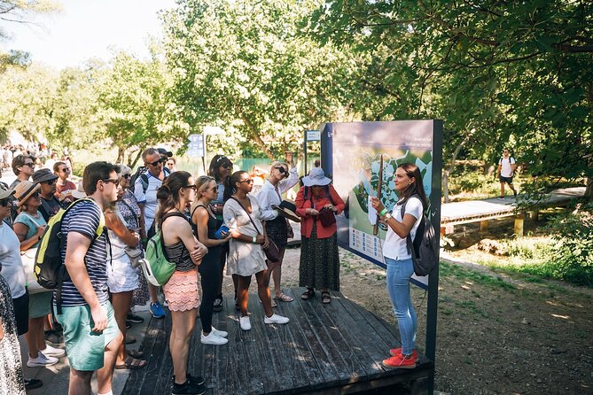 From Split: Krka Waterfalls, Food & Wine Tasting Tour - Jaruga hydroelectric power plant: where engineering meets the falls