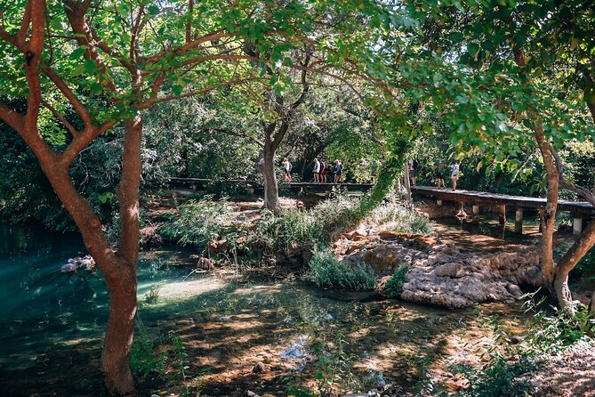 From Split: Krka Waterfalls, Food & Wine Tasting Tour - Plastovo village and Vinery Sladić: the food-and-wine finale