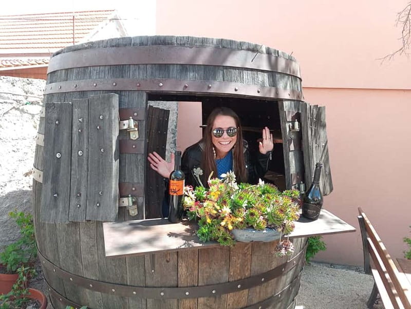 From Split: Krka Waterfalls with Wine & Cheese Tasting Tour - The Ride From Split: Air-Conditioned, Wi-Fi, and Enough Time to Get Oriented
