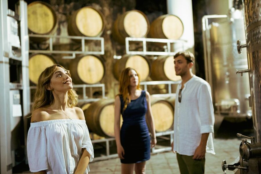 From Taormina: Mount Etna Food and Wine Tasting Tour - Group size, comfort, and getting the most out of the day