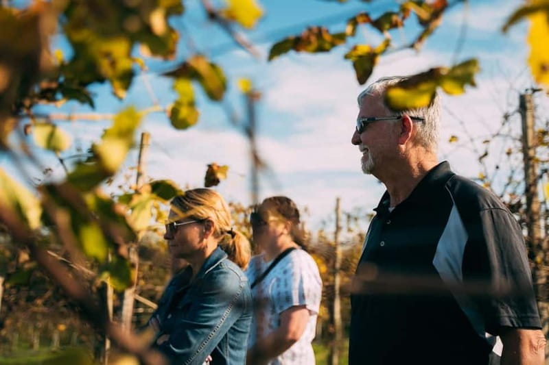 From Venice: Prosecco Hills and Wine Tasting Tour - Guides and Group Size: What Makes It Feel Personal