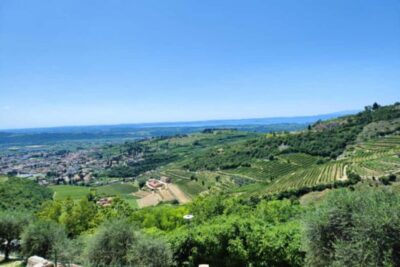 From Verona: Amarone Half-Day Wine Tasting Tour - Meet Pagus Wine Tours, then get out of Verona fast
