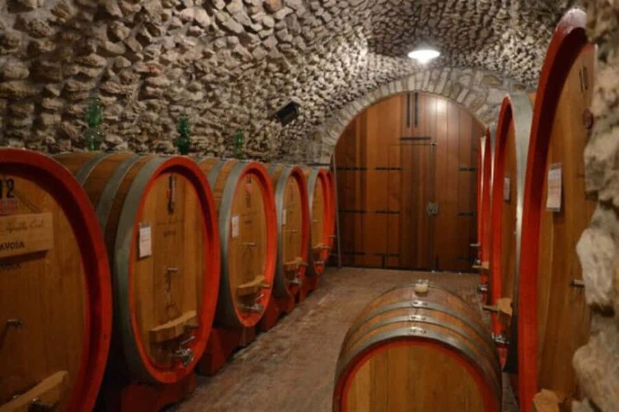 From Verona: Amarone Half-Day Wine Tasting Tour - At the Amarone vineyard: drying room smells and the “meditation” method