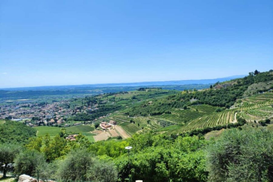 From Verona: Amarone Half-Day Wine Tasting Tour - Meet Pagus Wine Tours, then get out of Verona fast