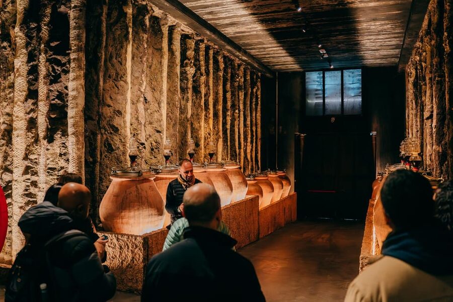 From Verona: Valpolicella and Amarone Wine Tasting Tour - Key highlights you’ll feel during the day