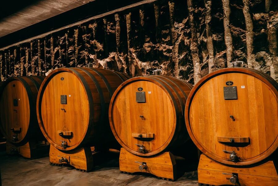 From Verona: Valpolicella and Amarone Wine Tasting Tour - Valpolicella in 4 hours: how the pacing really works