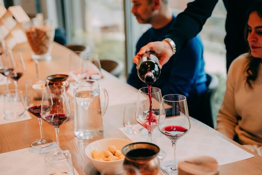 From Verona: Valpolicella and Amarone Wine Tasting Tour - Stop 1: the first winery cellar, Ripasso-style education, and tasting table time