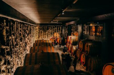 From Verona: Valpolicella and Amarone Wine Tasting Tour - From Verona’s Ristori Theatre to the Valpolicella valley