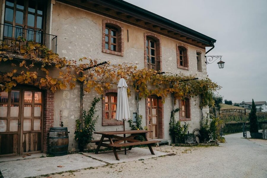 From Verona: Valpolicella and Amarone Wine Tasting Tour - Amarone explained: the production lesson that changes how you taste