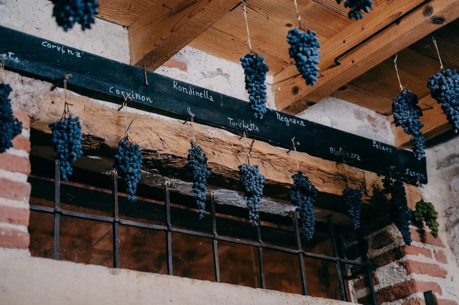 From Verona: Valpolicella and Amarone Wine Tasting Tour - Stop 2: a second winery visit with a different feel and another tasting table