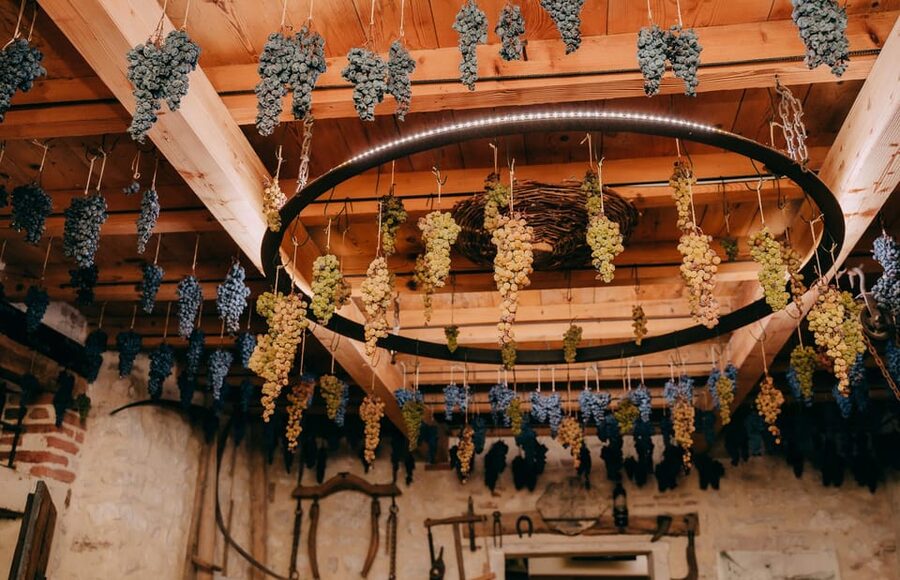 From Verona: Valpolicella and Amarone Wine Tasting Tour - Why the two-winery structure is better value than a quick one