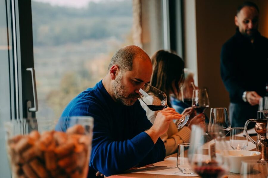 From Verona: Valpolicella and Amarone Wine Tasting Tour - Guides, owners, and what to expect from the people side