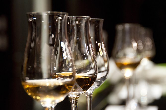 Full-Day Stellenbosch, Franschhoek and Paarl Wine Tasting Tour from Cape Town - How the Day’s Pacing Works (and How to Make It Feel Better)