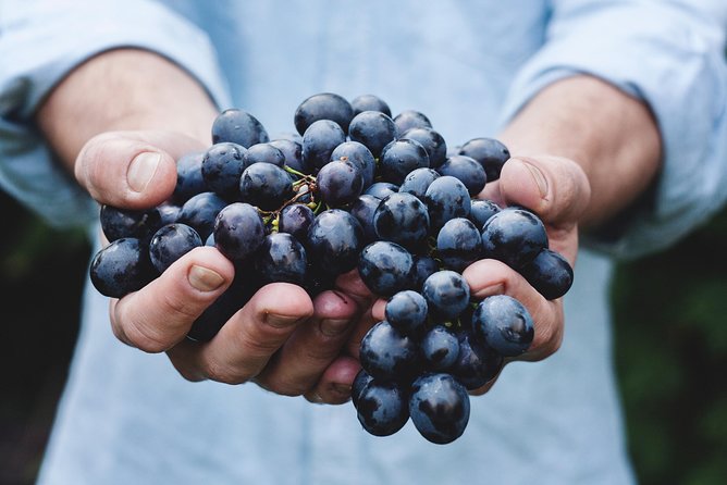Full-Day Stellenbosch, Franschhoek and Paarl Wine Tasting Tour from Cape Town - Stellenbosch Dorp Street: A Short, Helpful Stroll First