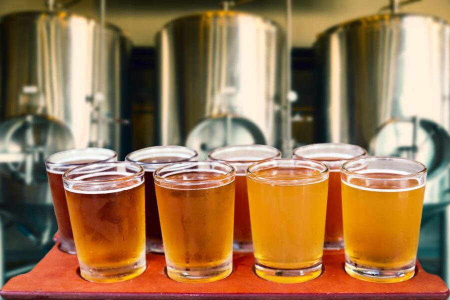Gdansk: Polish Beer Tasting Tour - Guide Marek Makes the Night: Info, Energy, and Easy Questions