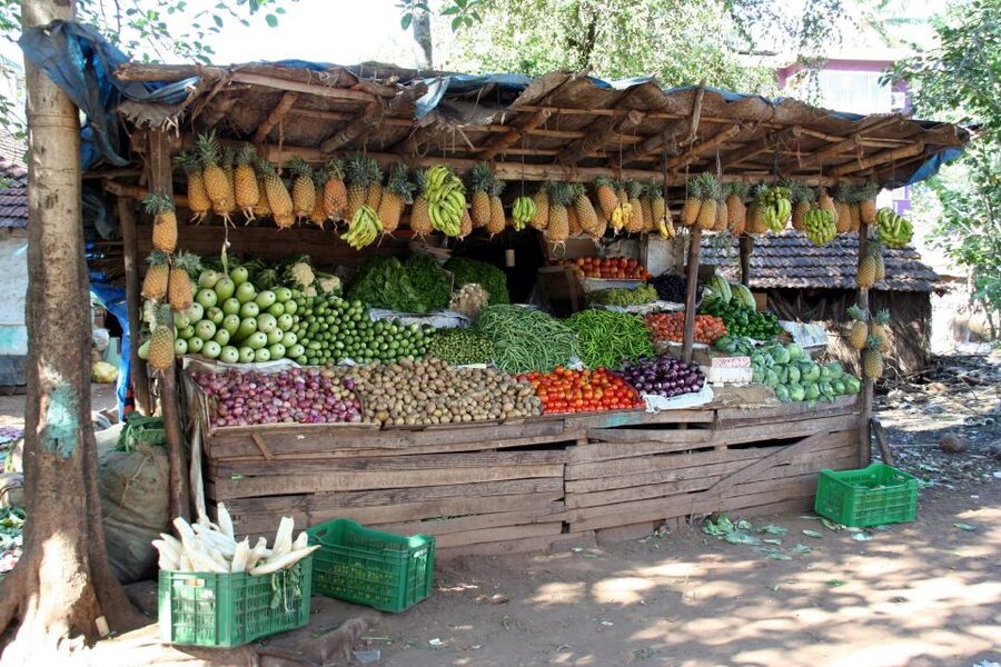 Goa Street Food Crawl: Authentic Food Tasting Experience - The Six Tastings You Should Expect to Actually Remember