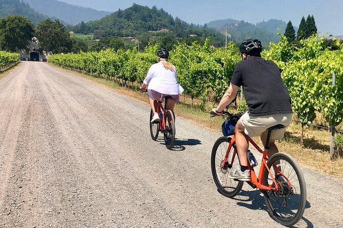 Guided Healdsburg Wine Country Bike and Wine Tasting Tour with lunch - Key highlights you’ll feel right away