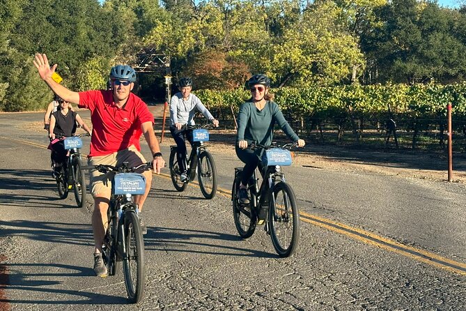 Guided Healdsburg Wine Country Bike and Wine Tasting Tour with lunch - Bikes, helmets, and the little comfort details that matter