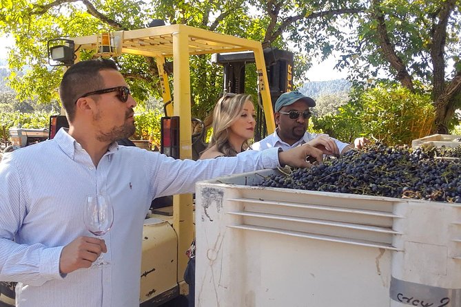 Guided Healdsburg Wine Country Bike and Wine Tasting Tour with lunch - Your day, stop by stop in Dry Creek Valley