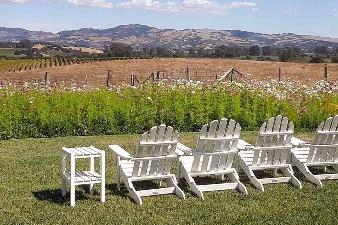 Guided Healdsburg Wine Country Bike and Wine Tasting Tour with lunch - Lunch among the vineyards: included, guide-made, actually good