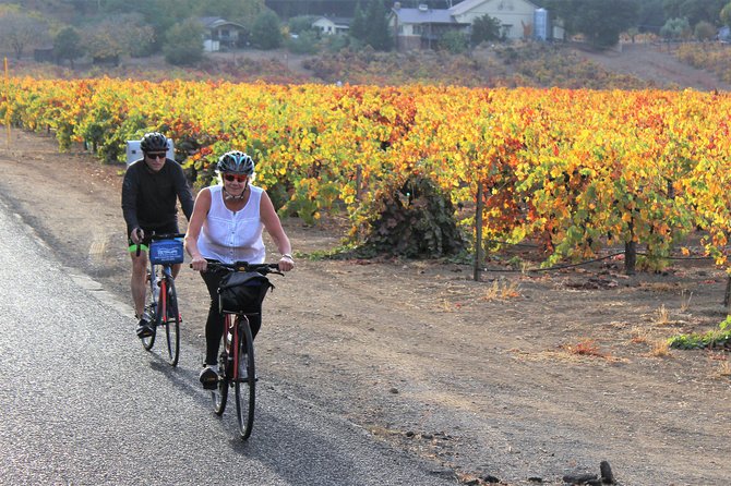 Guided Healdsburg Wine Country Bike and Wine Tasting Tour with lunch - Price check: what you pay $209 for, and what you still control