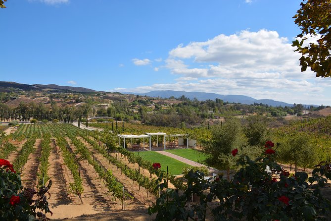 Guided Wine Tasting Tour of Temecula - A guided Temecula wine day that stays fun (not fussy)
