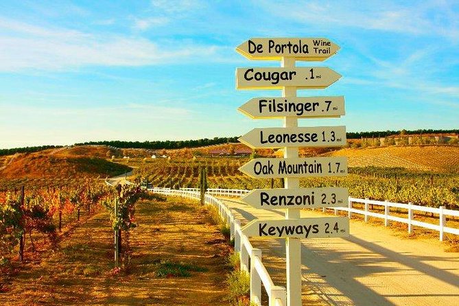 Guided Wine Tasting Tour of Temecula - Small-group social time: what to do with your hands during tastings
