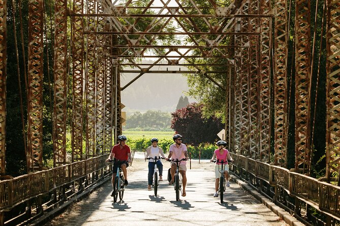 Half Day Guided Electric Bike Wine Tasting Tour with Lunch - Key highlights at a glance