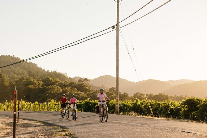 Half Day Guided Electric Bike Wine Tasting Tour with Lunch - Healdsburg on electric power: the feel of Sonoma County in four hours
